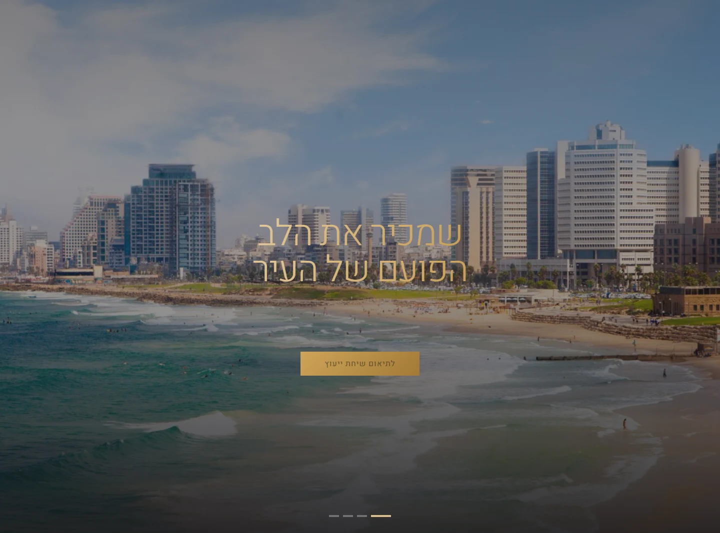 מבט על הפרויקט של CENTER